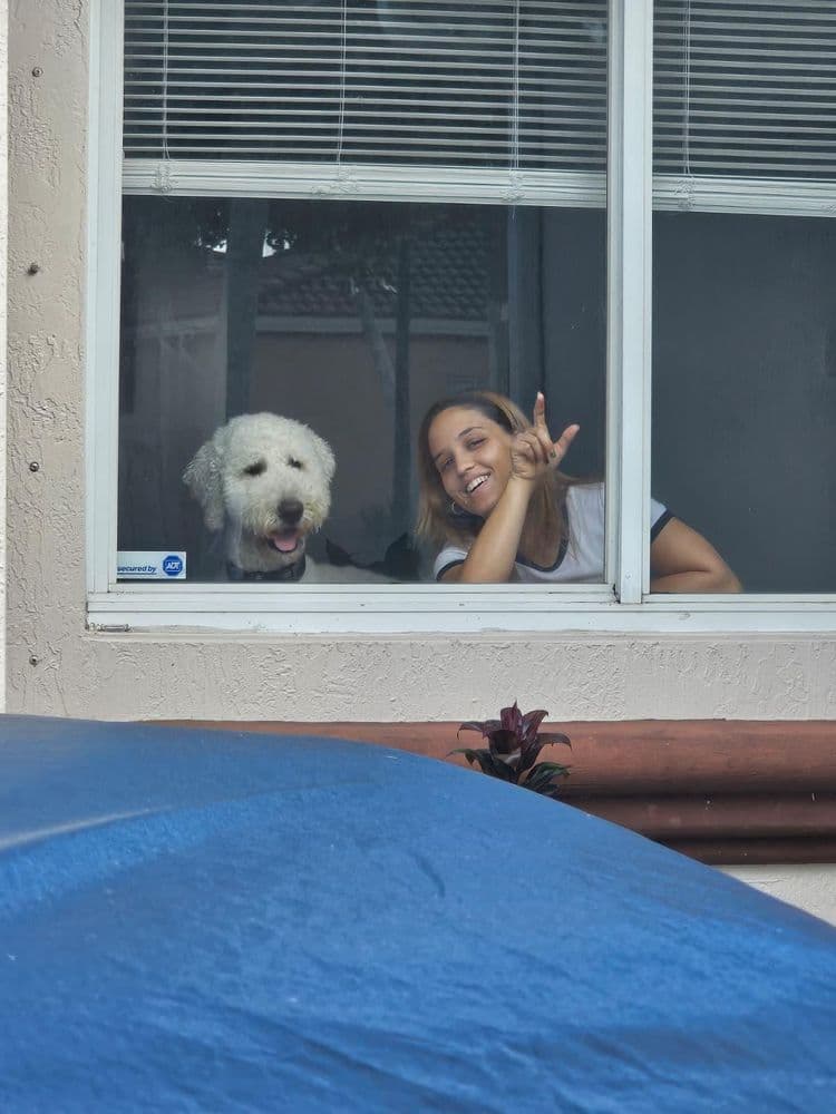 Un perro blanco en la ventana junto a una mujer