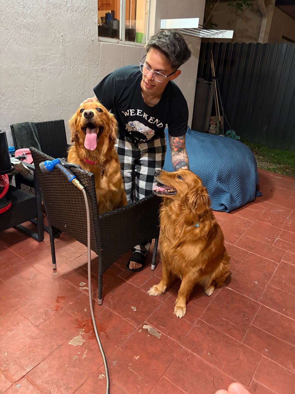 Un hombre con dos goldens en el patio